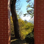 Okno lotra Babinského