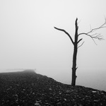 Ta romanticka rana I.