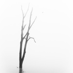 Ta romanticka rana IV.