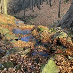 Bukovina