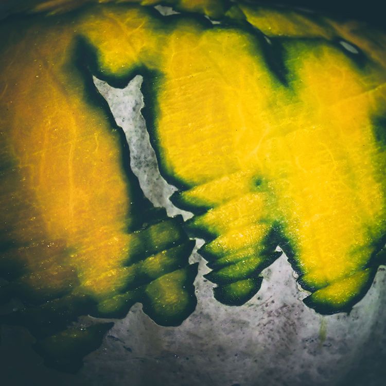 exoplaneta Gliese_832_c