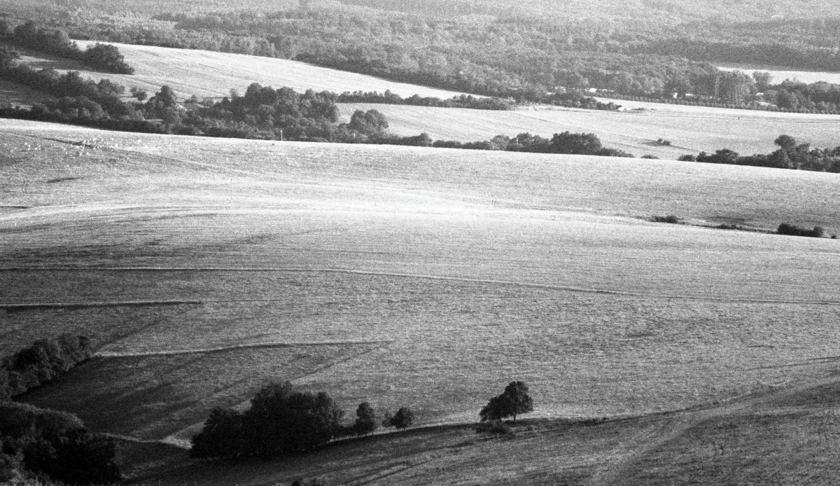 Ležící krajina