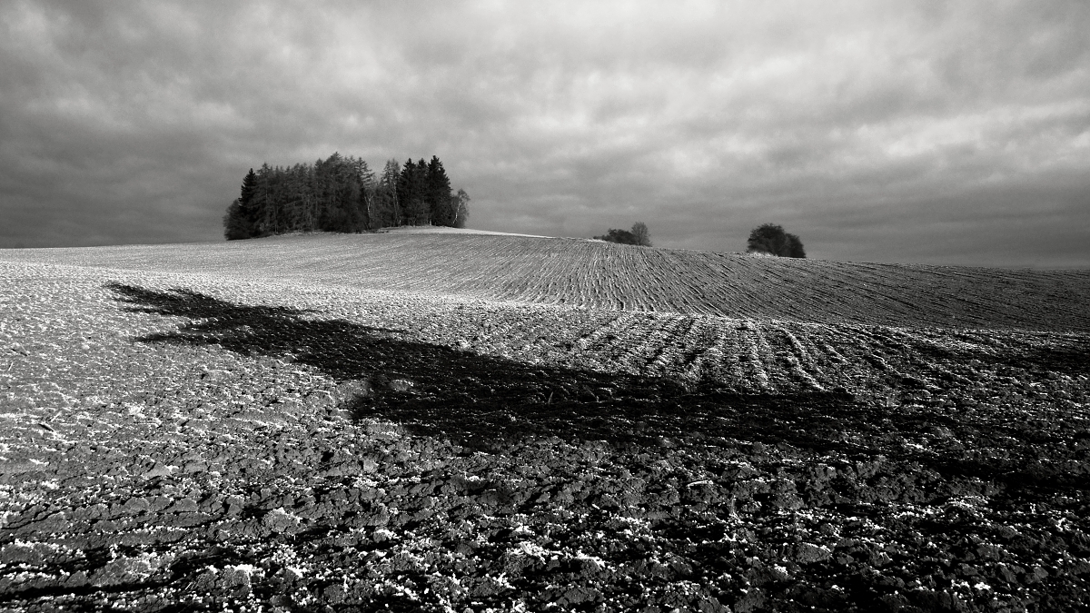 Strážný vrch u Havlíčkova Brodu