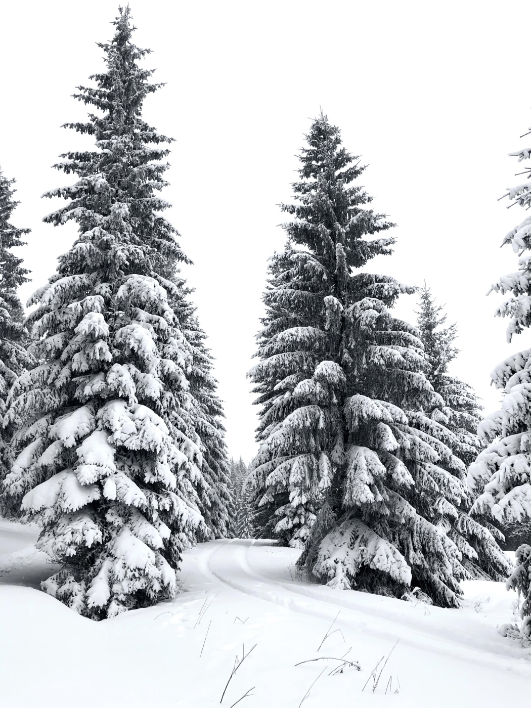 Daleko nebo vysoko…