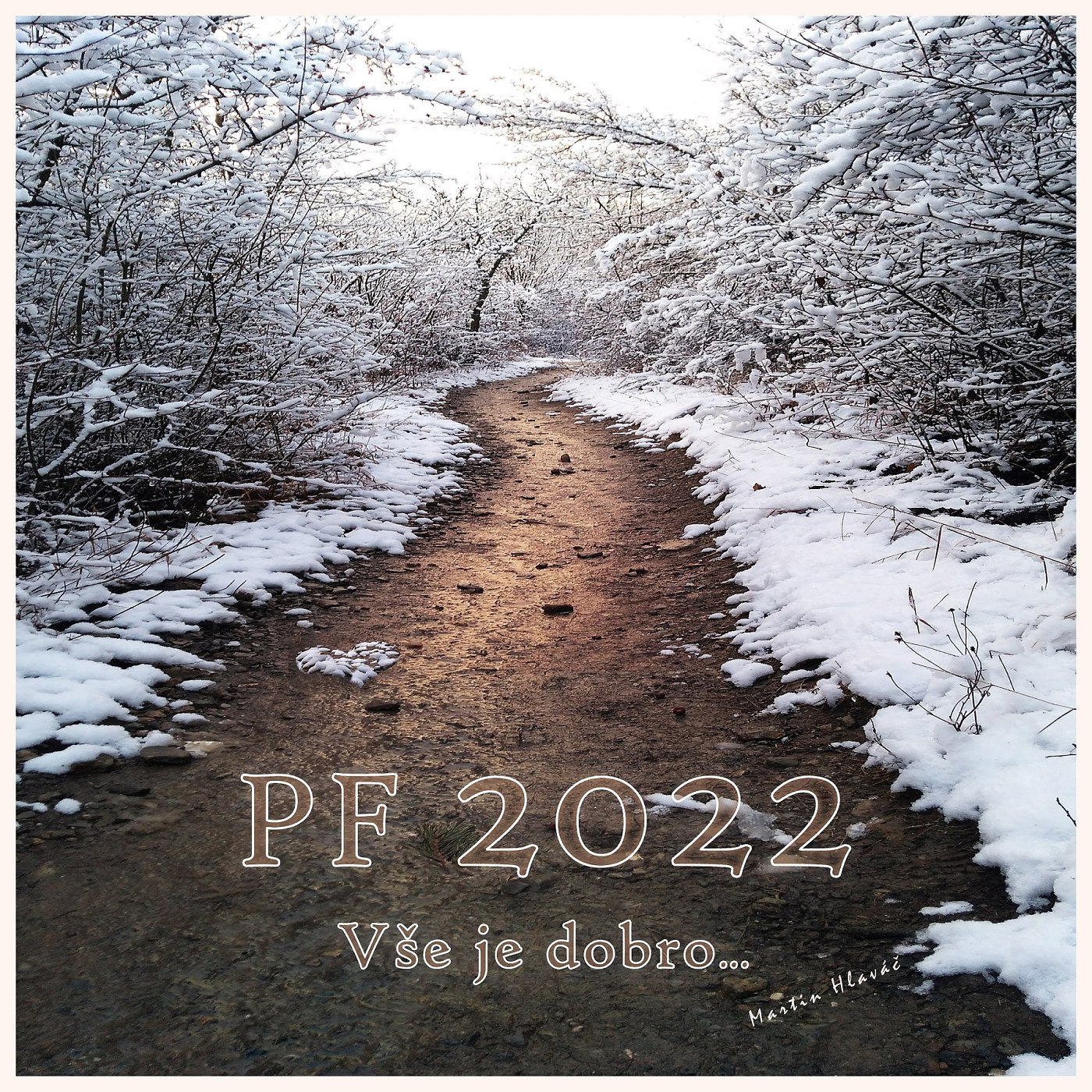 PF 2022