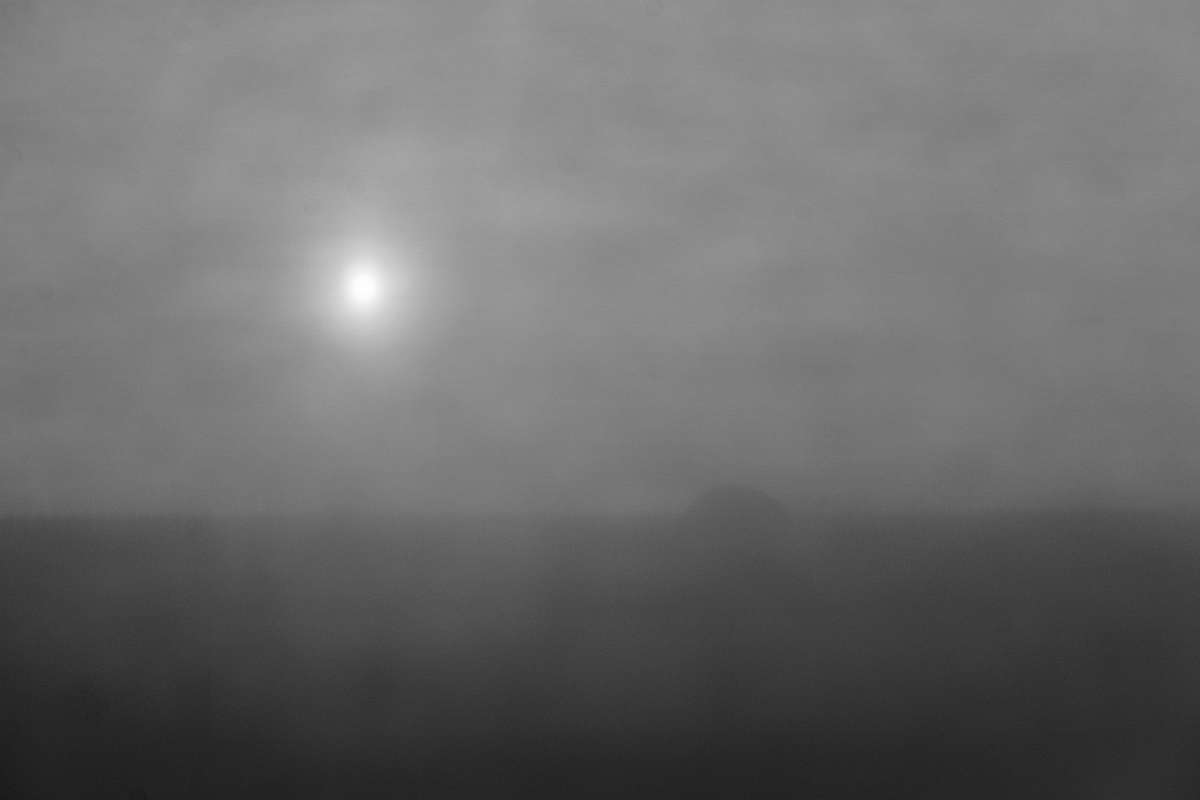 Hora Rip / abstract