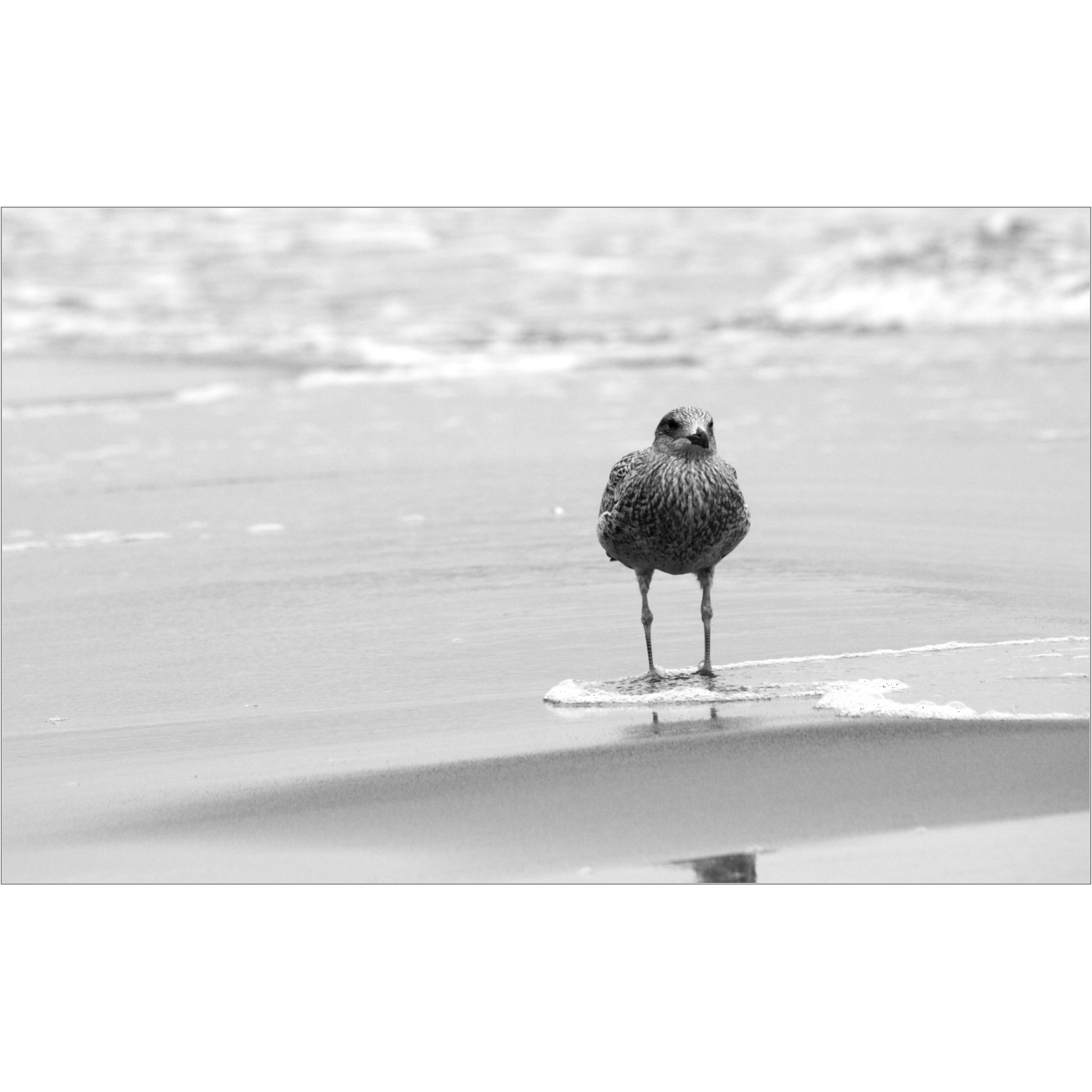 Co tak blbě čumíš?