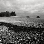 Strážný vrch u Havlíčkova Brodu