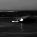 predátor v Libni :-)