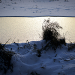 Hodne zlata do noveho !!