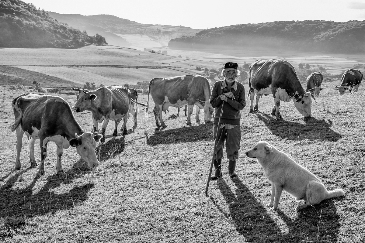 Svitanie na pastvine