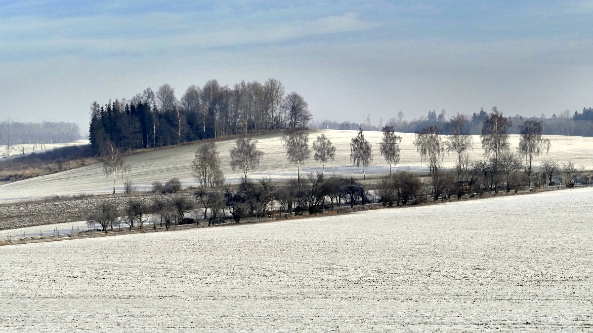 Vysočina u Knyku