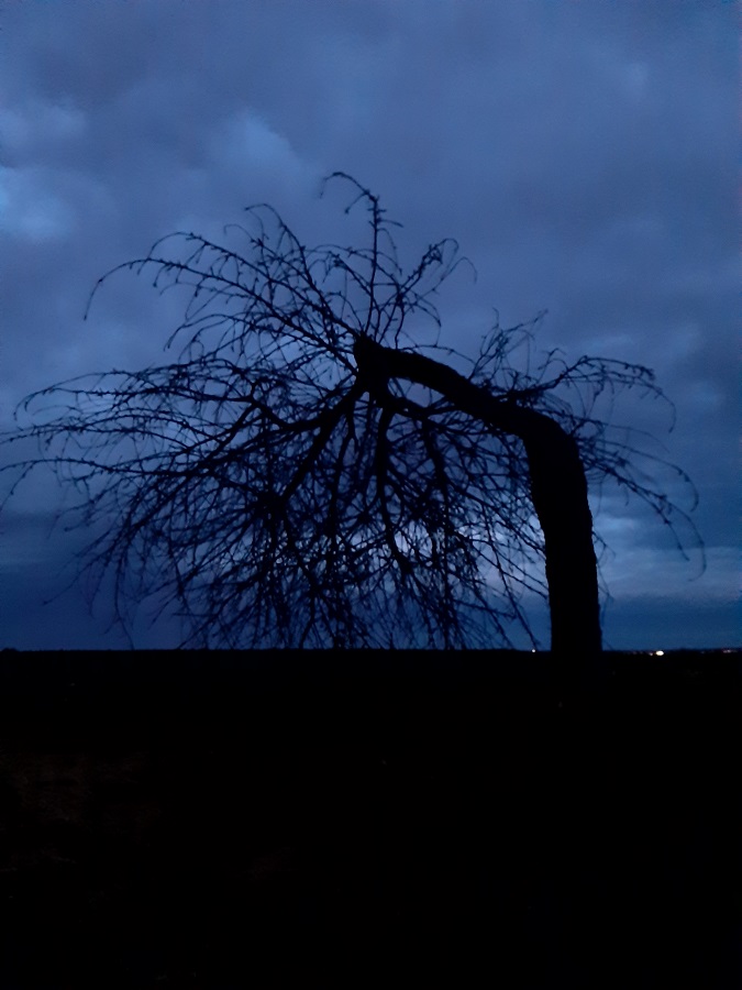 Dělá si těžkou hlavu...