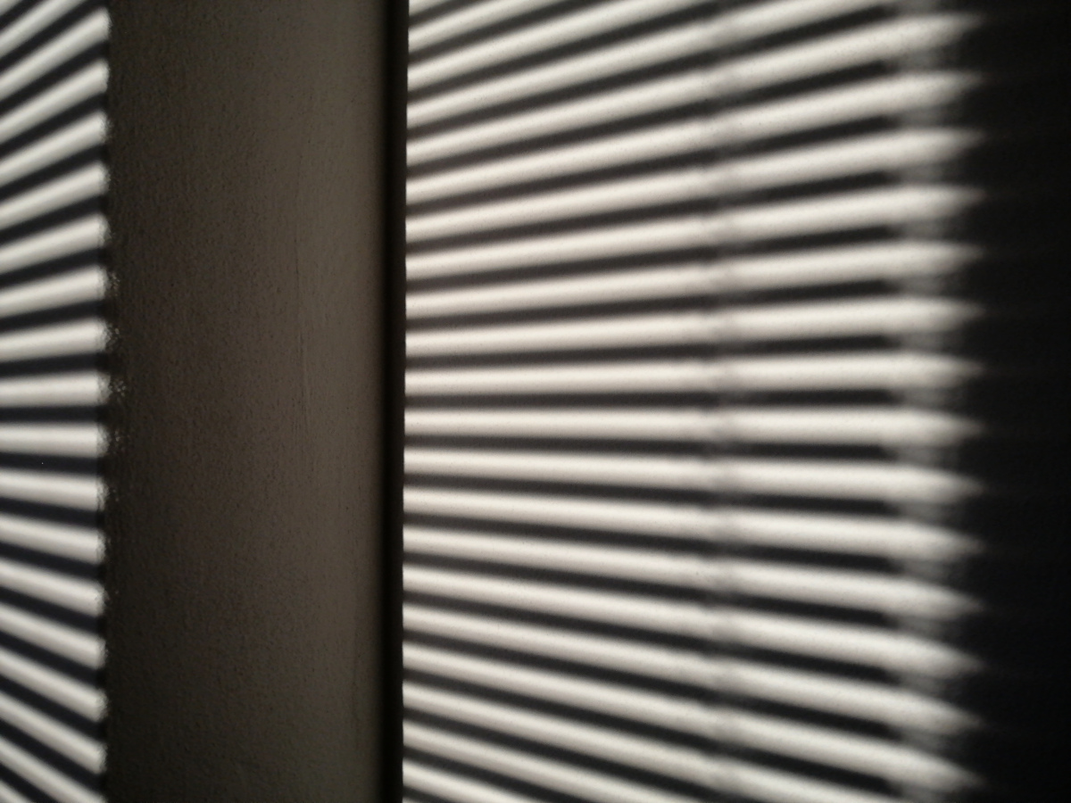 mrizovi - skutecne, nebo v hlave?