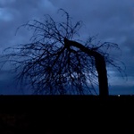 Dělá si těžkou hlavu...