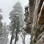 Kamenožrout právě dorazil na hory