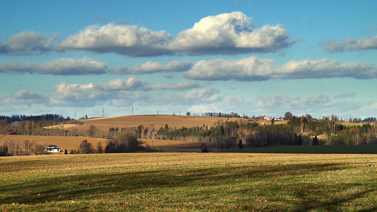 Vysočina u Horní Krupé