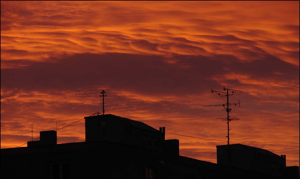  ..večerní silueta...