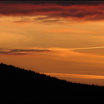 večerní siluetovka