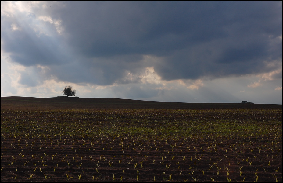 ...nová generace...