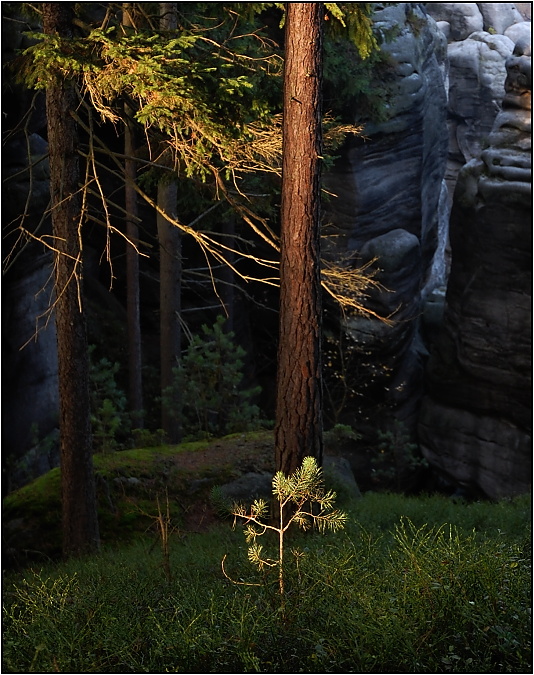 ...malý a velký...