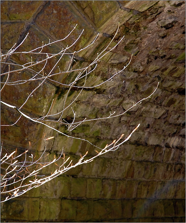 ...doteky světla...