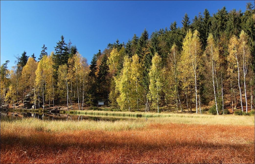 ...vzpomínka na podzim...