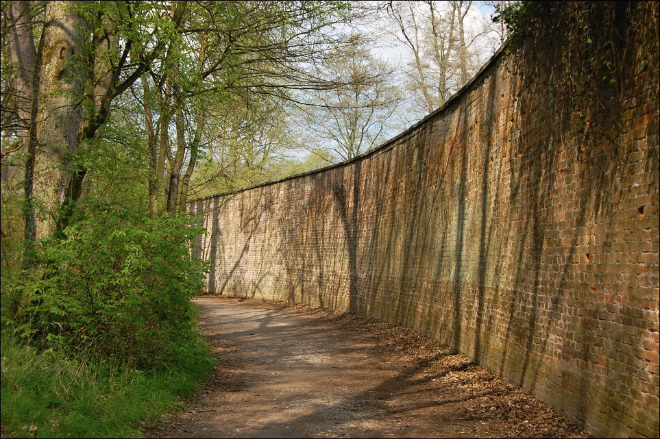 ..."za plotem stínů"...