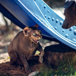 Nekonečný příbeh :-)