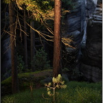 ...malý a velký...