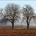 ...ve dvou se to lépe táhne...