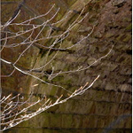 ...doteky světla...