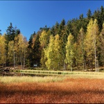 ...vzpomínka na podzim...