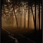 ...cesta z tmavého lesa...