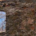 Předjaří na Vikštejně