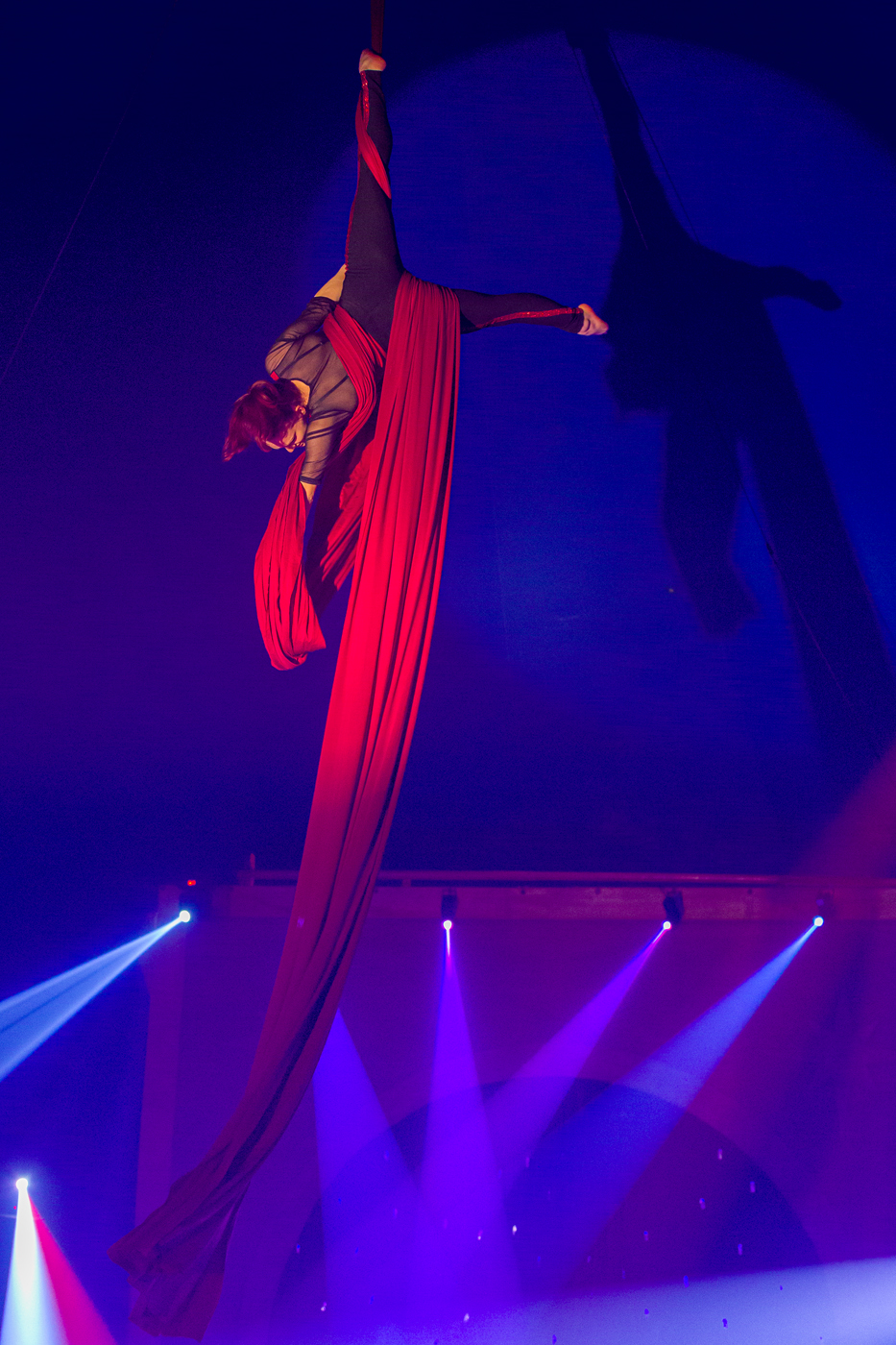 Cirkus