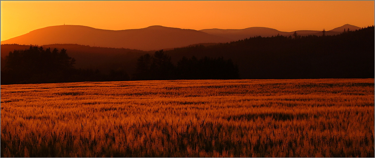 ...večerní siluetka Krkonoš...