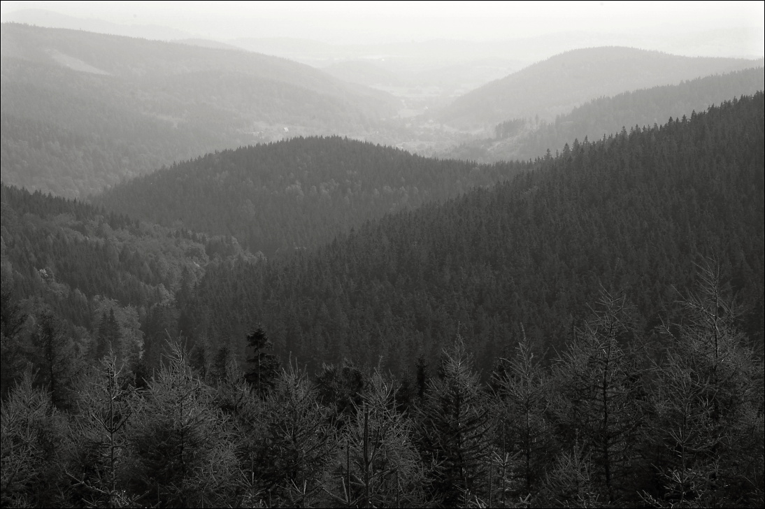 ...kopečky v mlze...