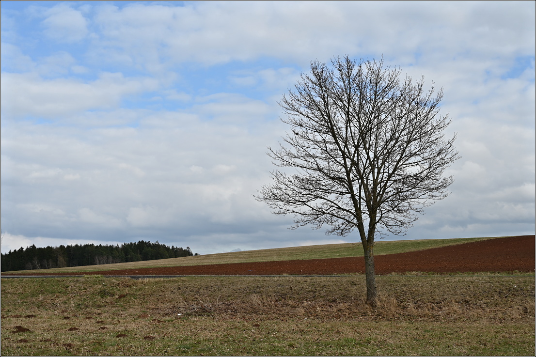 ...sám u silnice...