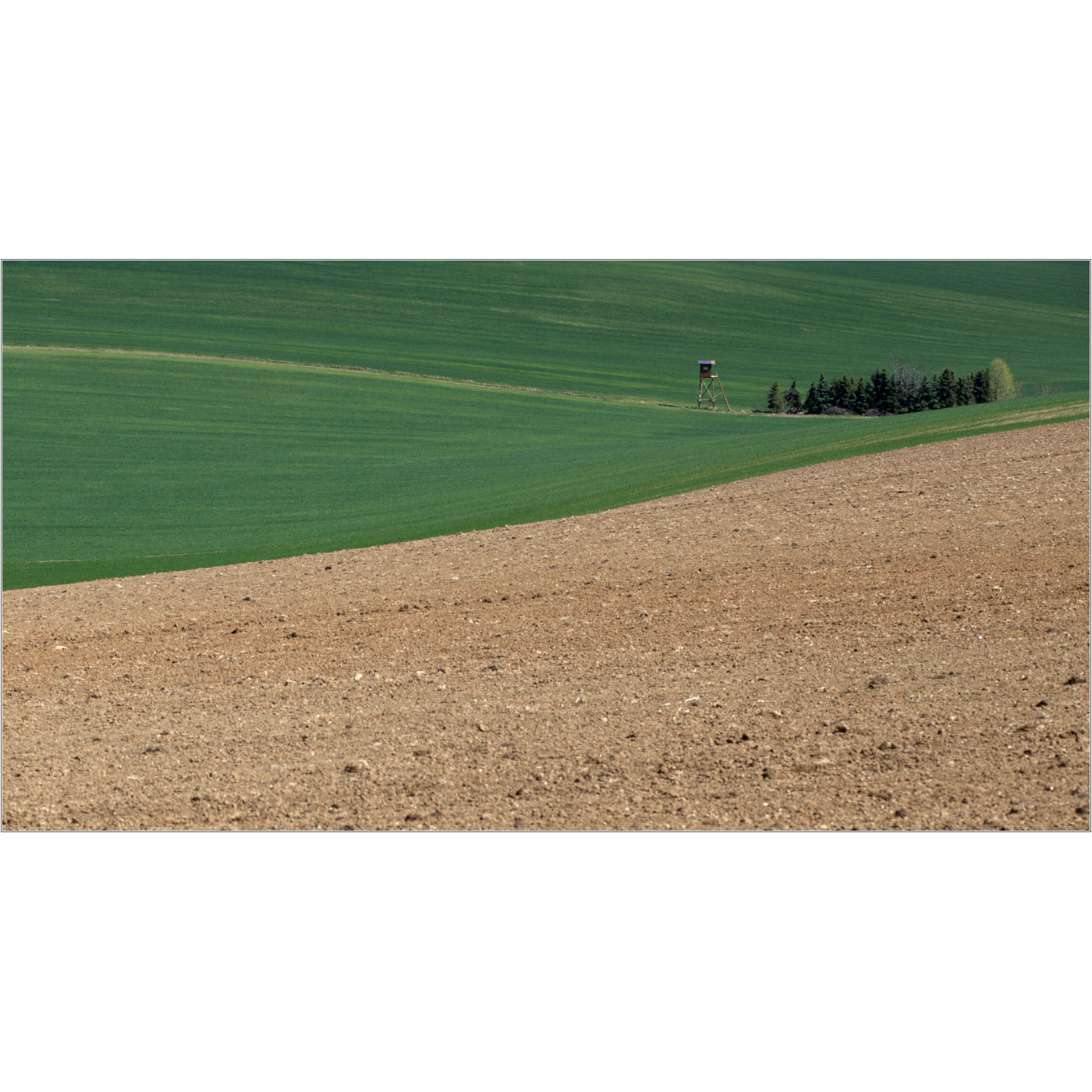 Pohled vojenskéh pozorovatele