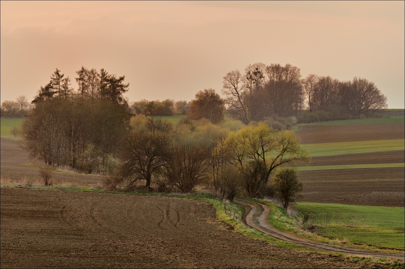 Předjaří