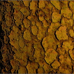 ..."zemská kůra"...