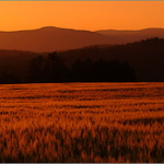 ...večerní siluetka Krkonoš...