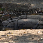 ...ve dvou se to lépe táhne...
