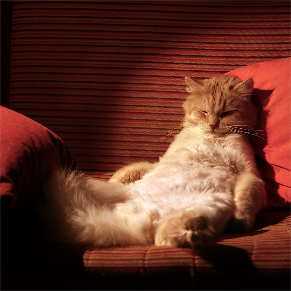 Po celodenním nicnedělání...