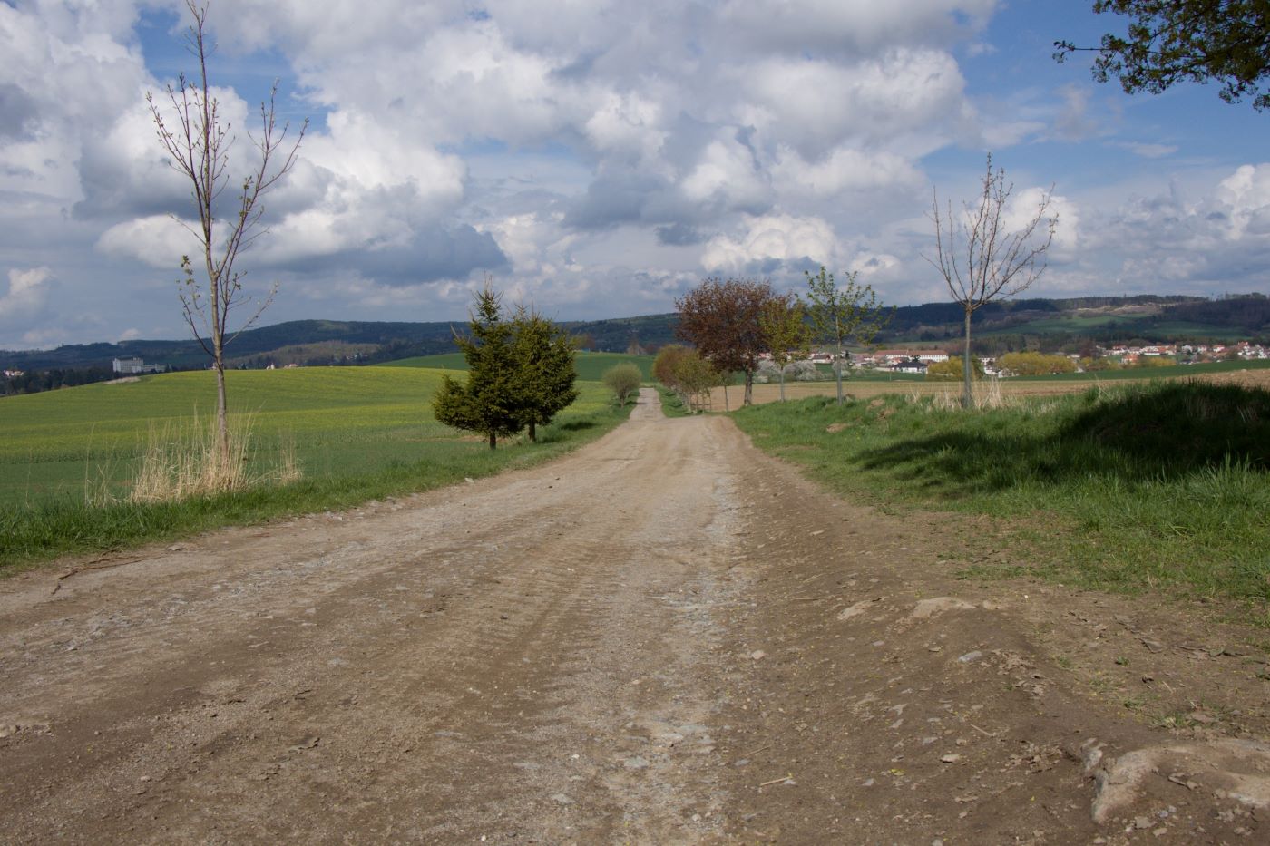 Cestaa