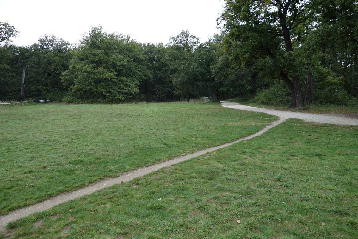 pro vsechny zoufale uplodovace, ktere chceme 'vyhanet' z fotografickeho raje