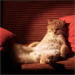 Po celodenním nicnedělání...