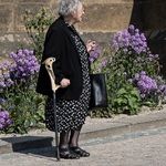 hezky to tu kvete...