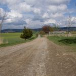 Cestaa